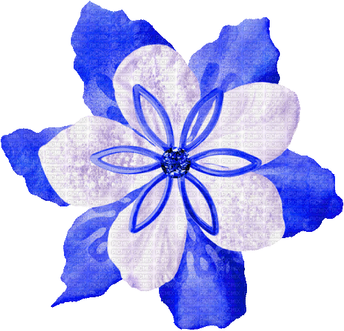 Christmas.Flower.White.Blue - KittyKatLuv65 - Bezmaksas animēts GIF