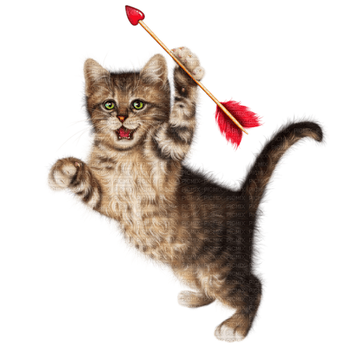 valentine cat  by nataliplus - ilmainen png