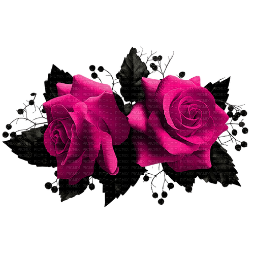 Gothic.Roses.Black.Pink - PNG gratuit