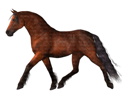 Tennessee Walker Horse - бесплатно png