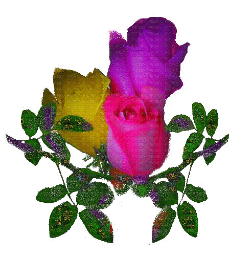 virág - Δωρεάν κινούμενο GIF
