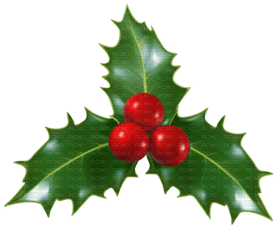Christmas Time - PNG gratuit