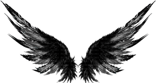 black wings Bb2 - 免费PNG