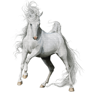 Horse, Adam64 - bezmaksas png