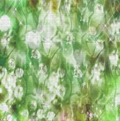 minou-green-background-fond-vert-verde-sfondo-grön-bakgrund - png ฟรี
