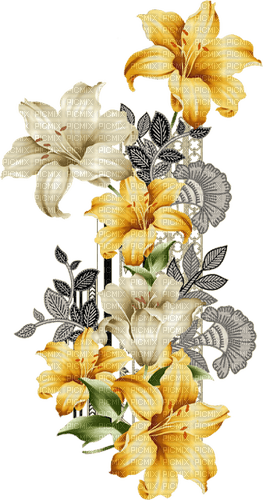 lily flowers - gratis png