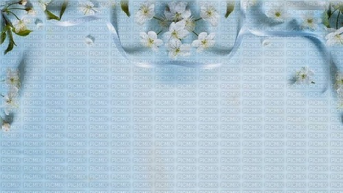 bg-blå-blommor---background-blue-flowers - png gratis