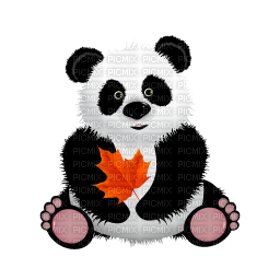 Panda - kostenlos png