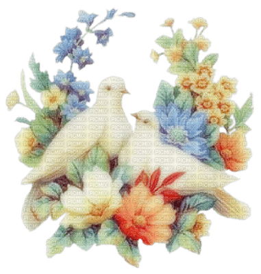 minou-bird-dove-flower - Free PNG