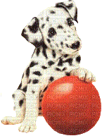 101 Dalmatians bp - GIF animado grátis