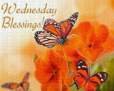Wednesday blessings - gratis png