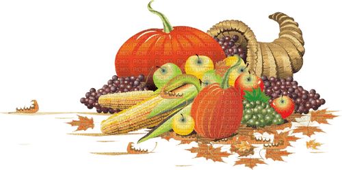 automne fruits - zdarma png