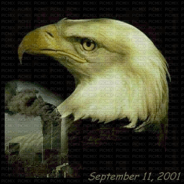 9 11 memorial - Nemokamas animacinis gif