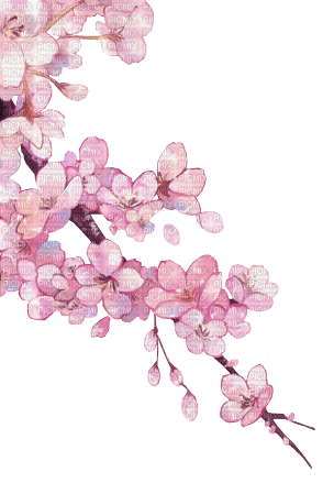 ✶ Flowers {by Merishy} ✶ - δωρεάν png