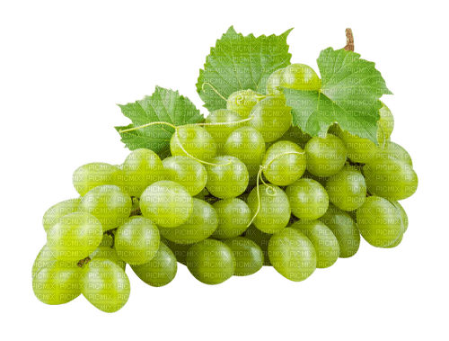 white grapes 6 - nemokama png