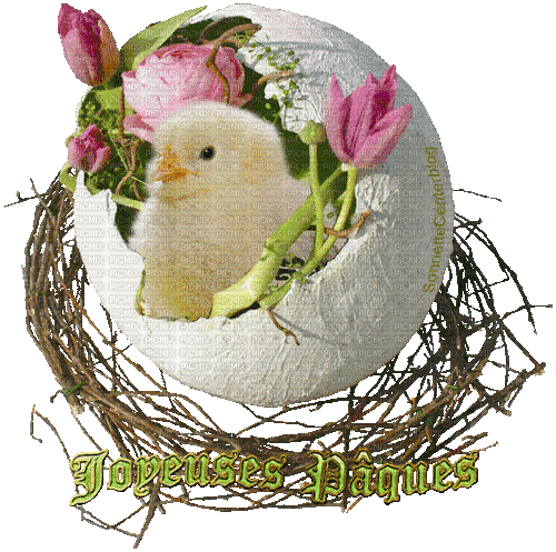 Easter Chick - Безплатен анимиран GIF