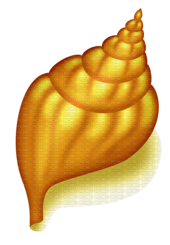Coquille , Shell - gratis png
