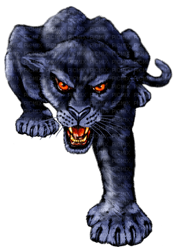 panther prowl - png gratis