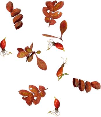 tube automne - Free PNG