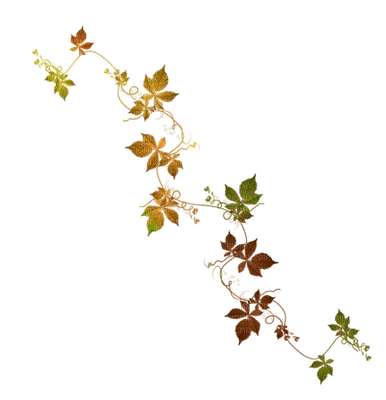 листьягуля - darmowe png