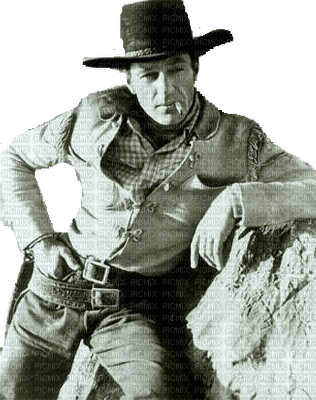 Cowboy (Gary Cooper ) - nemokama png