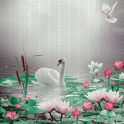 soave background animated   water pink green - Ingyenes animált GIF