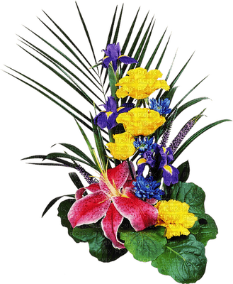 flores de colores ,adolgian - ilmainen png