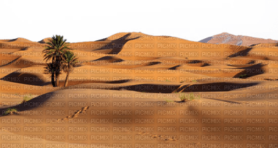 desert landscape bp - bezmaksas png