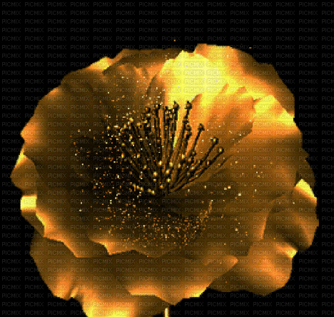 flower fond - Gratis geanimeerde GIF