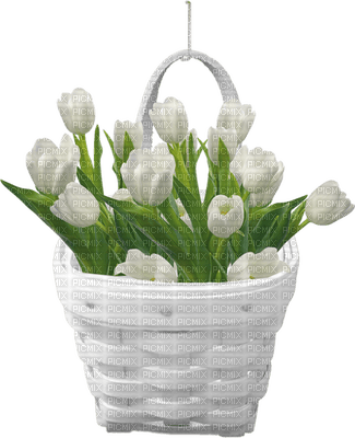 tulipanes - png grátis