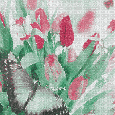 soave background animated spring easter flowers - Gratis animeret GIF
