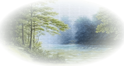bosque - Free PNG