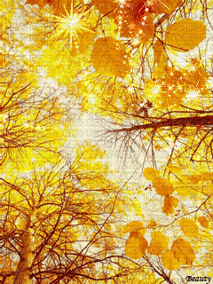 Background Autumn - Ilmainen animoitu GIF