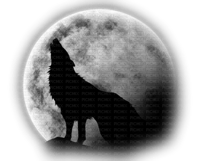 wolf and moon - ingyenes png