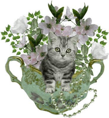 patymirabelle chat et fleurs - png grátis