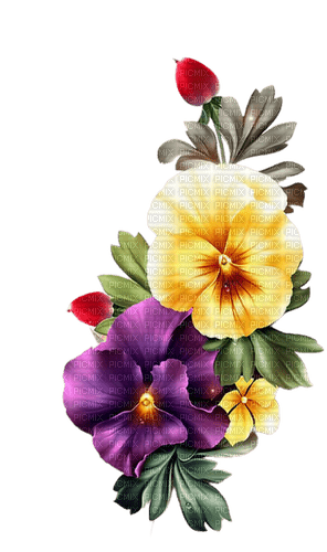 fleurs pensées - Free PNG