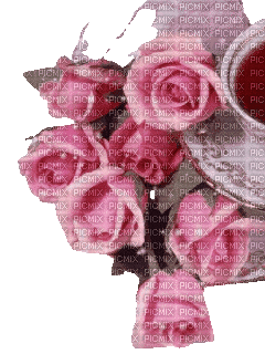flower,roses,coffee - GIF animado gratis