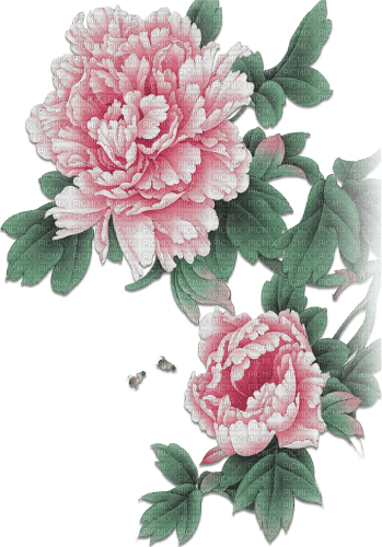 soave deco oriental flowers branch pink green - 無料png