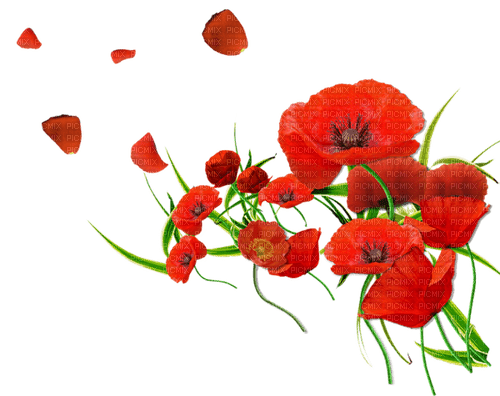 Blue DREAM  70 _ flowers_poppies - Free PNG
