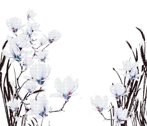 flowers milla1959 - Free animated GIF