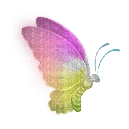 Schmetterling butterfly - 無料png