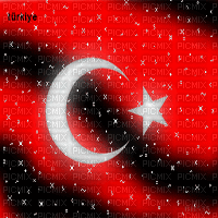 Turkish flag - GIF animé gratuit