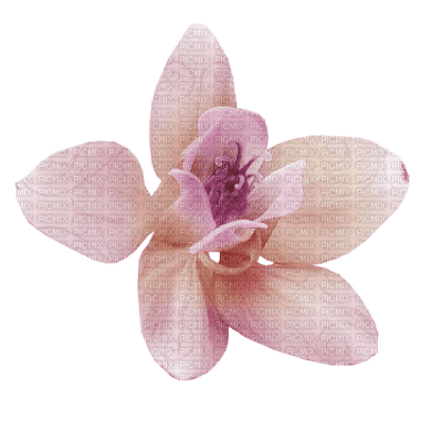 Kaz_Creations Pink Deco Flower Colours - ingyenes png