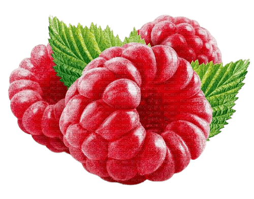 raspberry Bb2 - 無料png