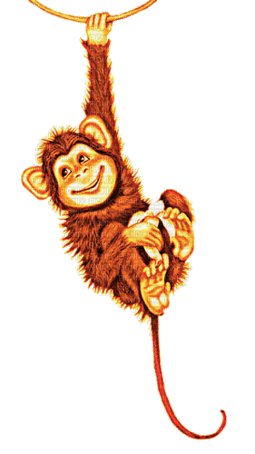monkey - Gratis animeret GIF
