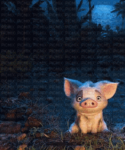 pig bp - 免费动画 GIF