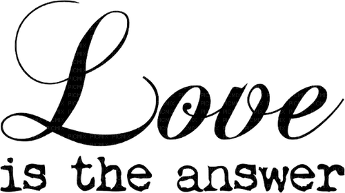Kaz_Creations Text-Love is the answer - png gratis