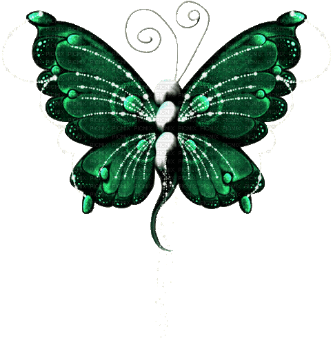 ♡§m3§♡ kawaii green butterfly  animated - Zdarma animovaný GIF