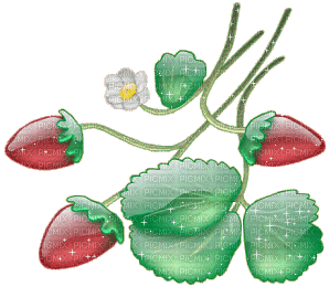 Webcore Strawberry vine glitter - Zdarma animovaný GIF