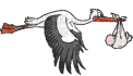 stork - Бесплатный анимированный гифка